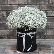 Цветочная композиция из Гипсофила в шляпной коробке в Подгородней Покровке